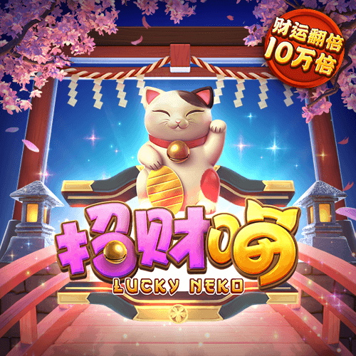 赛酷体育下载官网